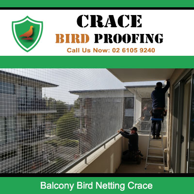 Expert installing balcony bird netting system at Crace home blocking pest entry and droppings