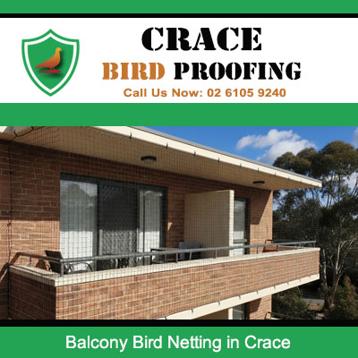 Completed bird netting installation on residential balcony in Crace protecting from pest birds