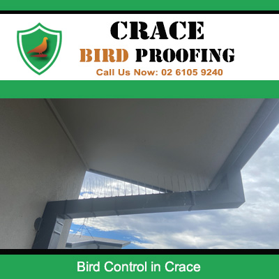 Wire mesh bird deterrent fitted under roof eaves at Crace home for effective bird control