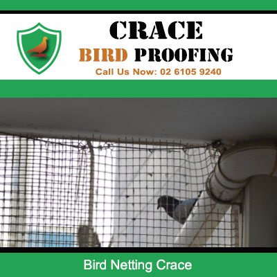 Protective bird netting system installed on ductwork and vents at Crace home blocking pests
