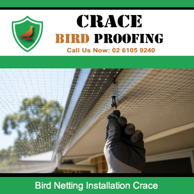 Close up of bird netting installation on home eaves in Crace blocking pest bird access