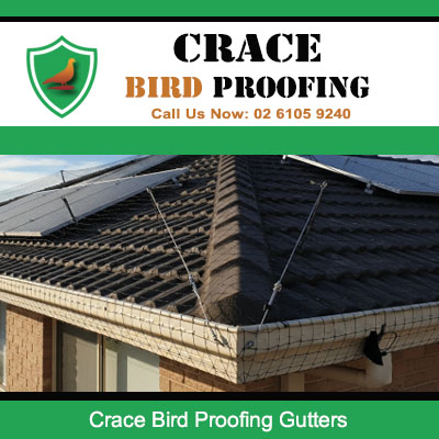 Bird proofing guards installed on residential roof gutters in Crace preventing pest nesting
