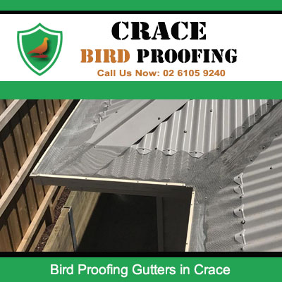 Bird proofing gutter installation with vent protection in Crace ACT preventing infestation