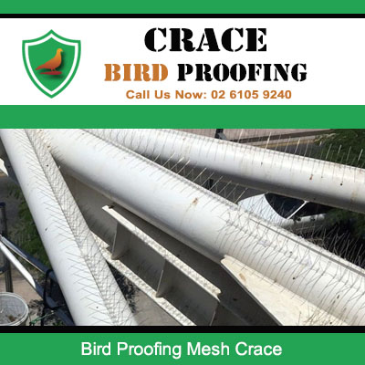 Bird proofing mesh installed on industrial piping and ductwork in Crace preventing pest roosting