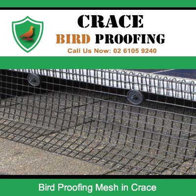 Bird proofing wire mesh installed along roof edge in Crace preventing pest nesting and entry