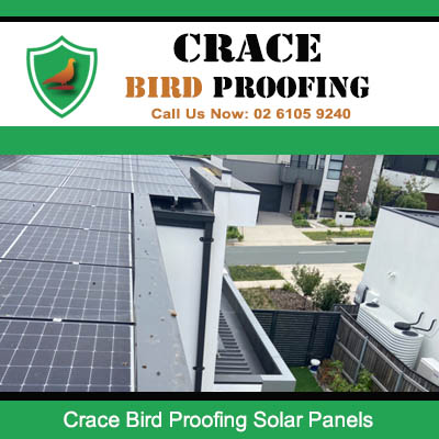 Solar panel bird proofing service in Crace ACT showing mesh guards preventing pest access