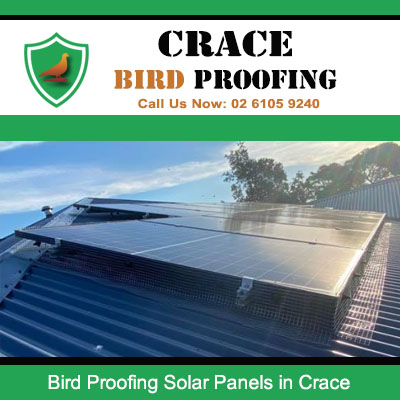Completed bird proofing installation on solar panels at Crace residential property preventing pest nesting