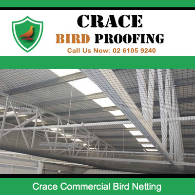 Commercial bird netting installed in warehouse ceiling at Crace preventing pest infestation