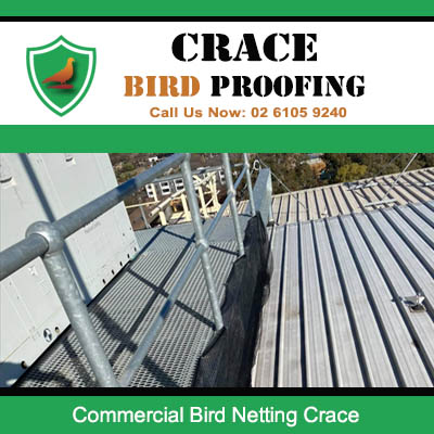 Industrial rooftop bird deterrent netting at Crace commercial property blocking pest access