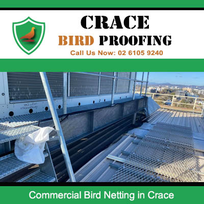 Crace commercial bird control netting fitted around rooftop units blocking pest access
