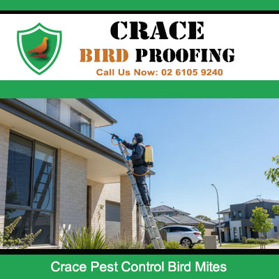 Expert applying pest control spray for bird mites on roof exterior at Crace property