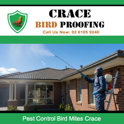 Professional pest control technician treating bird mites at residential home in Crace ACT
