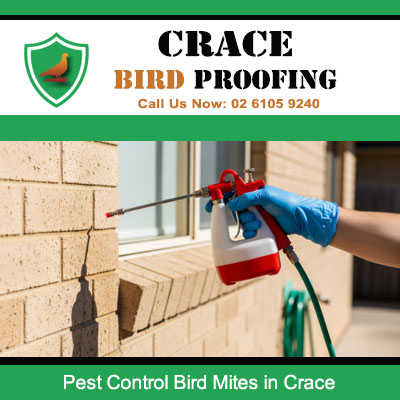 Technician applying bird mite spray treatment to brick wall exterior at Crace property